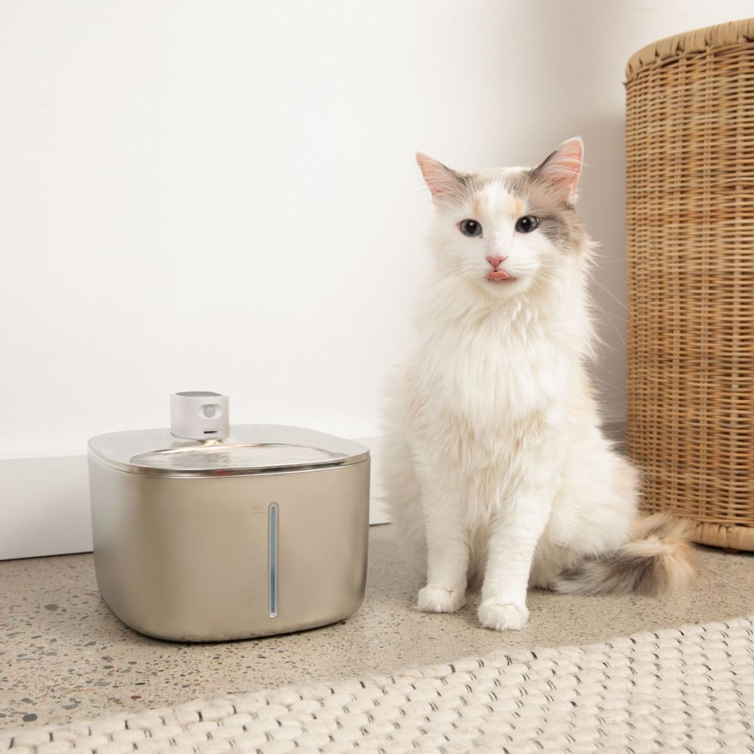 PureFlow Filter Kattenfontein – Altijd schoon, gefilterd drinkwater
